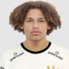 Guilherme Sucigan Mafra Cunha