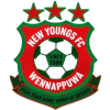 New Young's