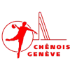 Geneva II
