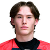 Danis Zaripov A.