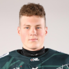 Niklavs Lagzdins