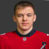 Arseny Shlyukov