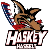Haskey Hasselt