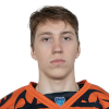 Андрей Гизатулин