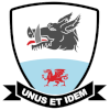 Baglan Dragons