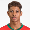Mohamed Amine Katiba