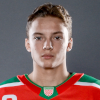 Matvei Shevtsov