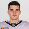 Arturs Andzans