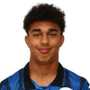 Dominic Vavassori
