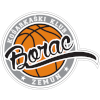 Borac Zemun