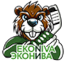 Bobrov Voronezh