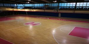 Trening centar Dejan Milojevic (Belgrade) 2