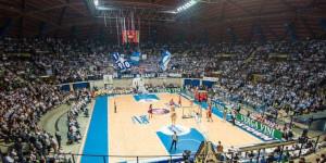 Paladesio (Desio) 3