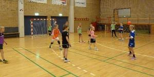 Bjerringbro hallen (Bjerringbro) 3