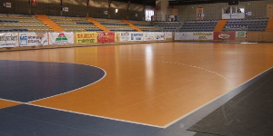 Dr. Fejes Andras Sport- es Rendezvenycsarnok (Gyongyos) 2