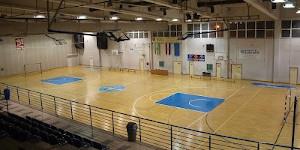 Sports Hall of Dugo Selo (Dugo Selo) 2